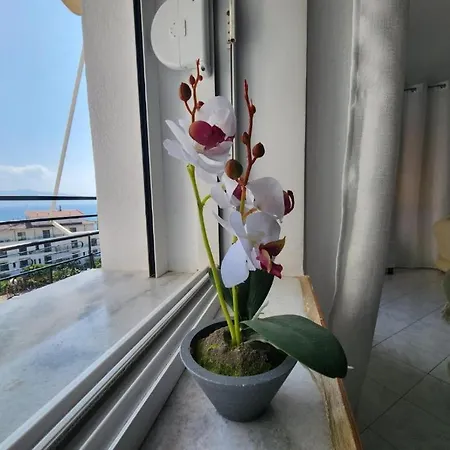 Appartement View